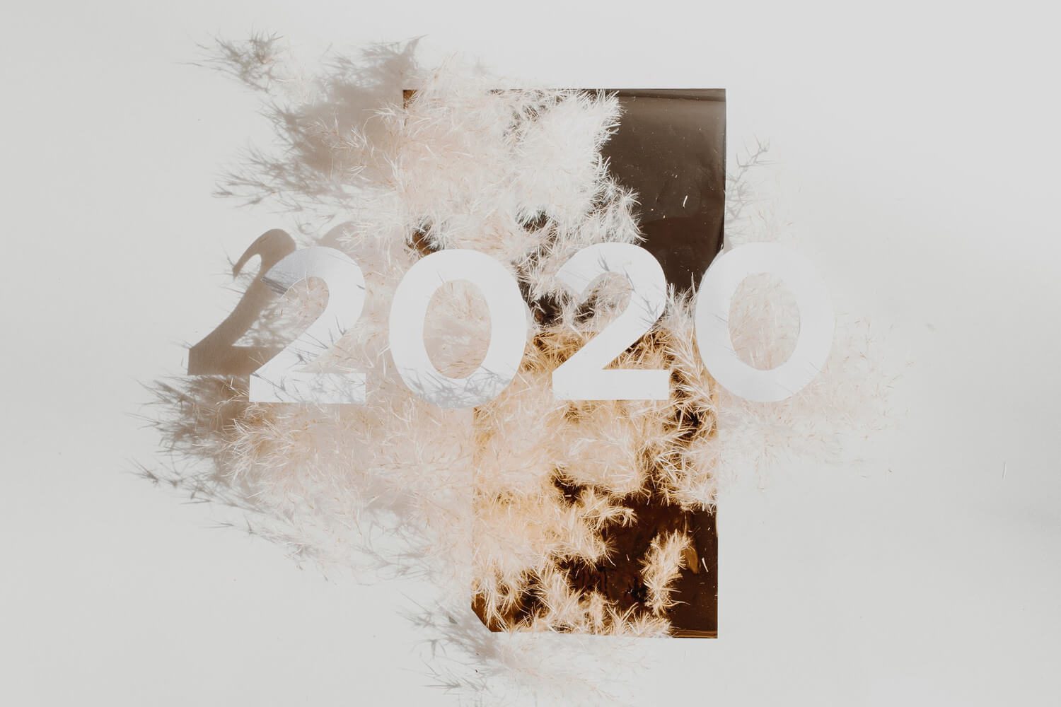 new-year-2020